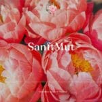 SanftMut | Nathalie Polke